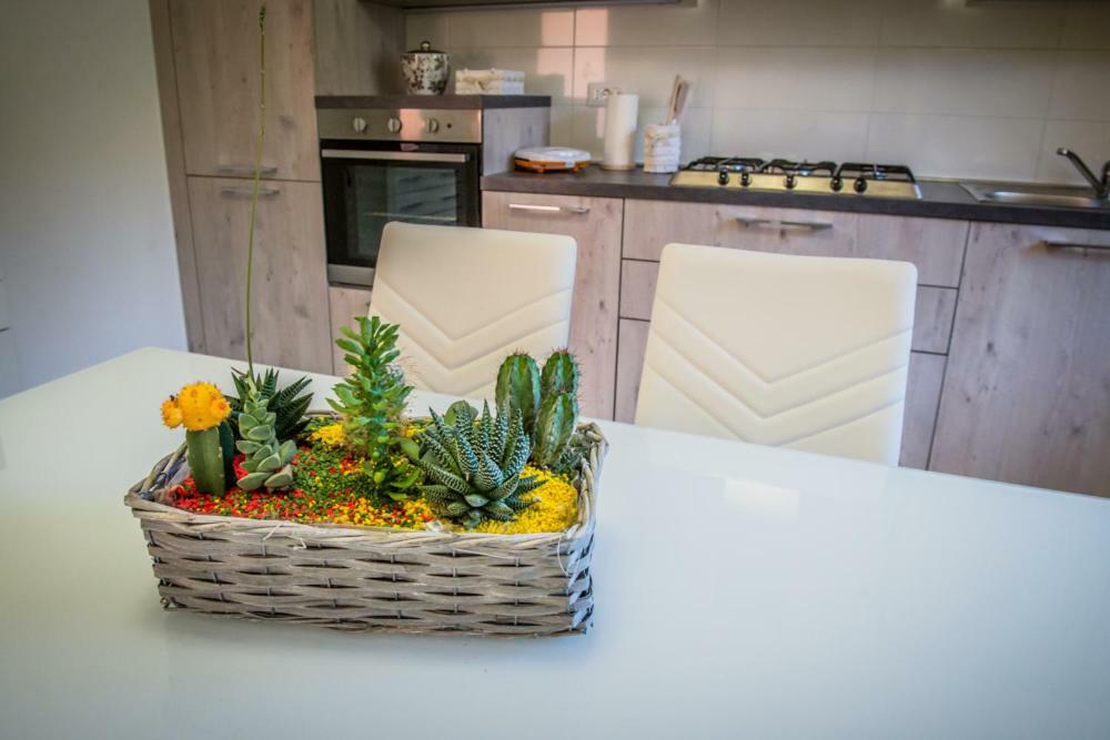 Appartamenti Vicino Al Mare Civitanova Marche Ngoại thất bức ảnh
